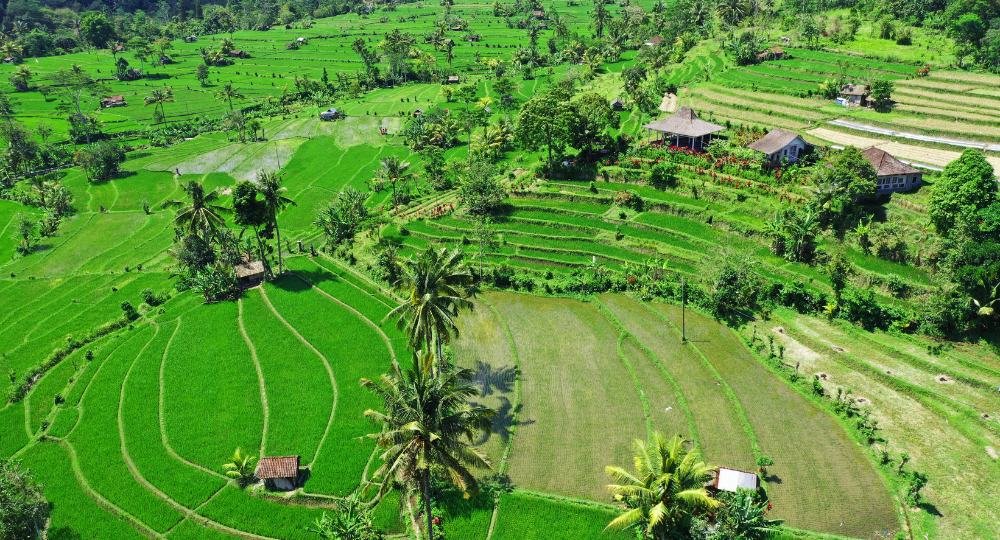 sidemen top must visit places in bali