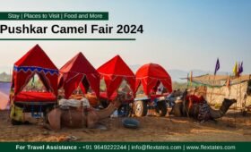 pushkar-camel-fair