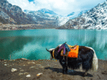 sikkim tour