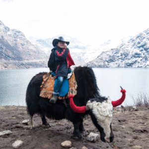 Yak ride near snowy mountain lake in Sikkim