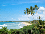 Sri Lanka Tour Package