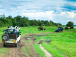 Affordable Sri Lanka Tour