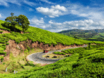 Kerala Tour Package