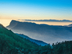 Kerala Tour