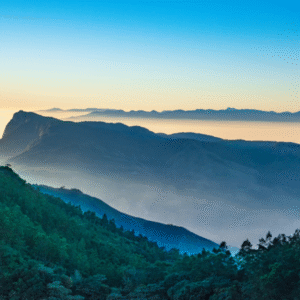 Kerala Tour
