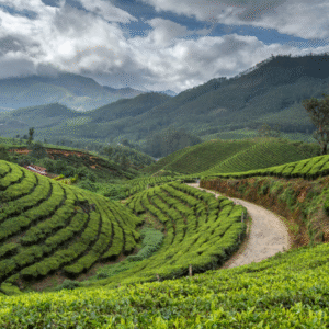 Classic Kerala Tour Package