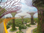 Singapore Tour Package