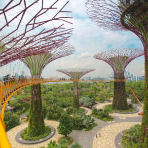 Singapore Tour Package