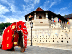 Sri Lanka Tour Package