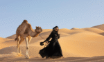 camel safari, dubai