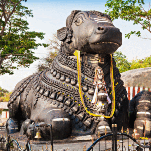 Luxury Kodaikanal Hill Station