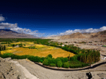 Premium Leh Ladakh Tour