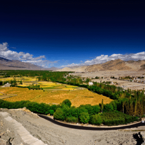 Premium Leh Ladakh Tour