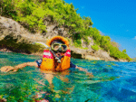 Splendid Bali Tour Package