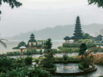 Splendid Bali Tour