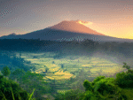 Affordable Bali Tour Package