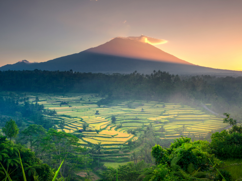 Affordable Bali Tour Package Affordable Bali Tour Package