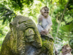 Adventurous Bali Tour Package