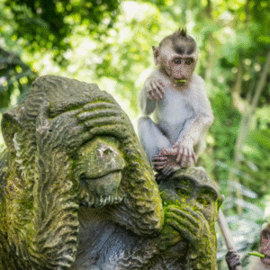 Adventurous Bali Tour Package